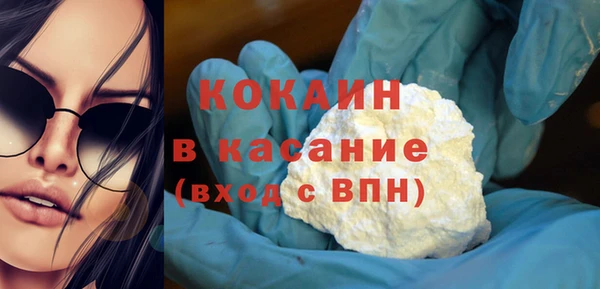 мдпв Каменка