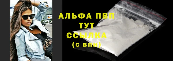 эйфоретик Каменногорск