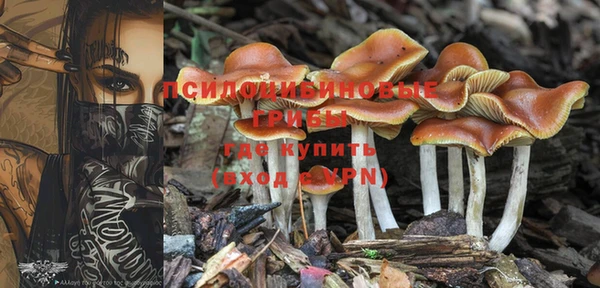 мдпв Каменка