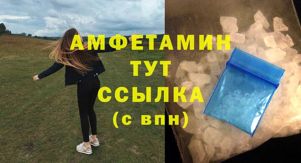 мдпв Каменка
