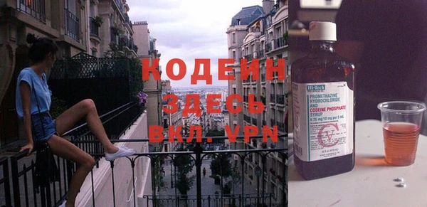 мдпв Каменка