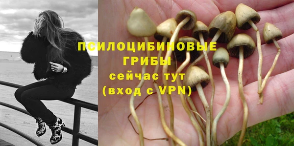 a pvp Инсар