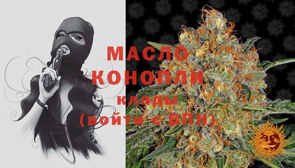 мдпв Каменка