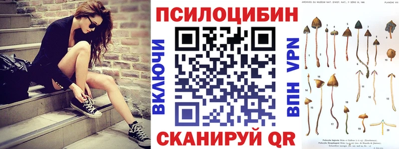 Псилоцибиновые грибы мухоморы  Купить где  Жердевка 